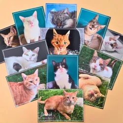 Carte Postale Potiron Family